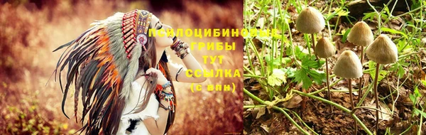 apvp Баксан