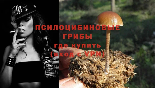 apvp Баксан