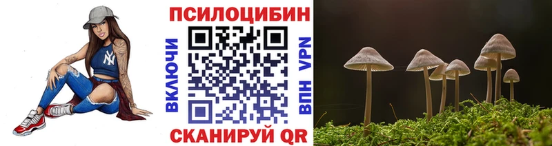Галлюциногенные грибы Cubensis  Купить  Шумерля 